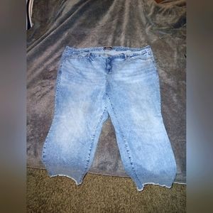 Torrid Jeans